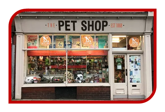 Construção de Site para Petshop